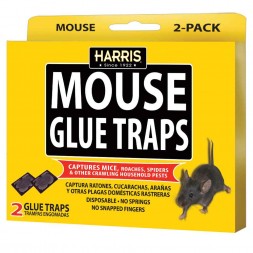 Harris Mouse Glue Traps (2 Pack)