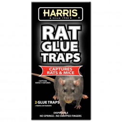 Harris-Rat Glue Board Trap, 2 Pack